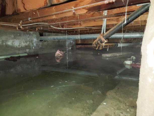 Sewage cleanup and water damage restoration in Kinnelon, NJ