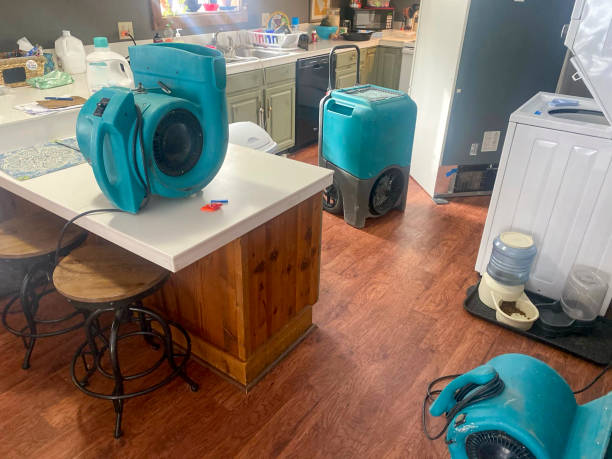 Best Water damage restoration cost  in Kinnelon, NJ