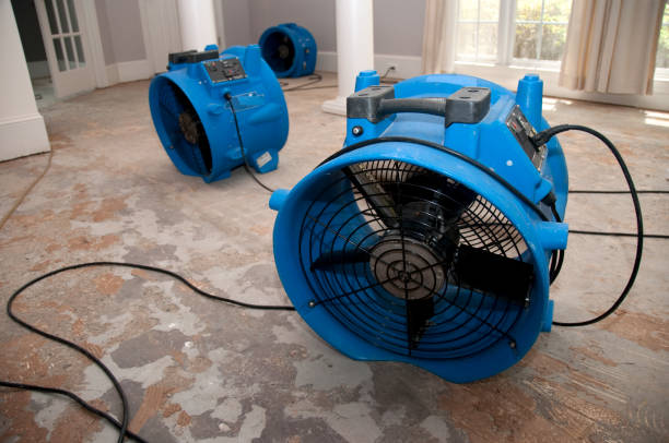 Best Water damage restoration near me  in Kinnelon, NJ