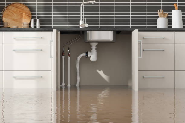 Best Water damage cleanup near me  in Kinnelon, NJ